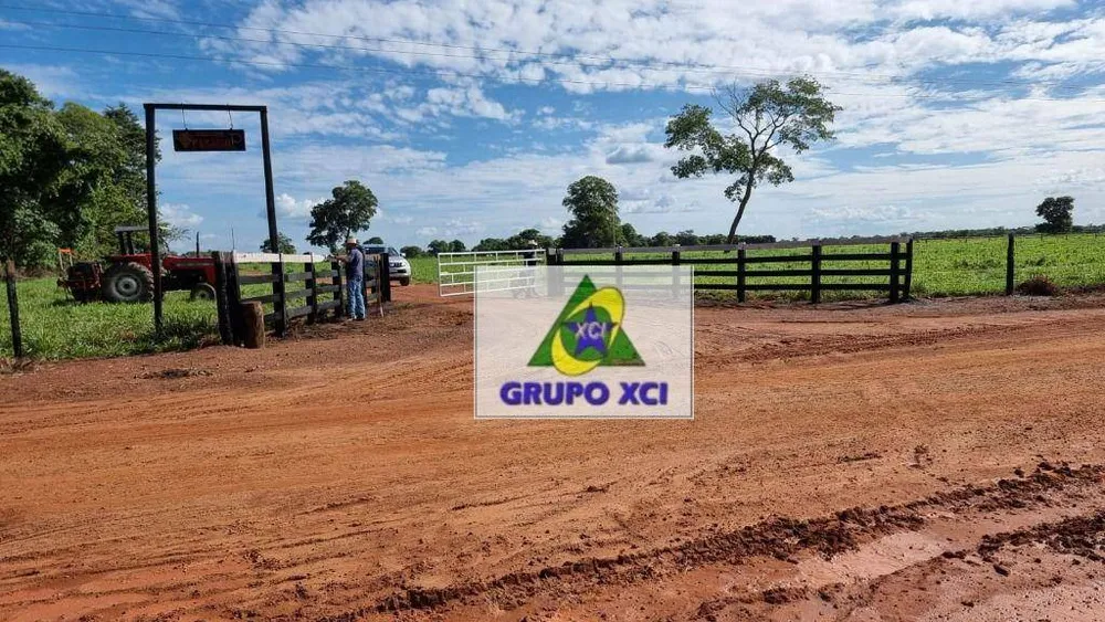 Fazenda, 177 hectares - Foto 6