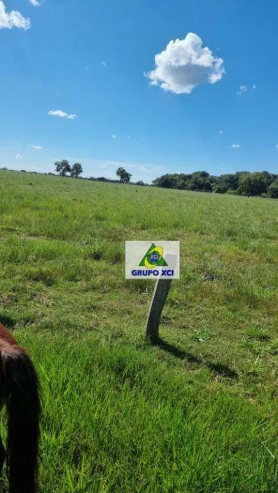 Fazenda, 177 hectares - Foto 12