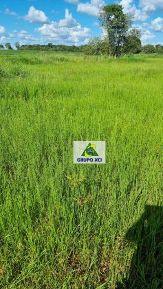 Fazenda, 177 hectares - Foto 3