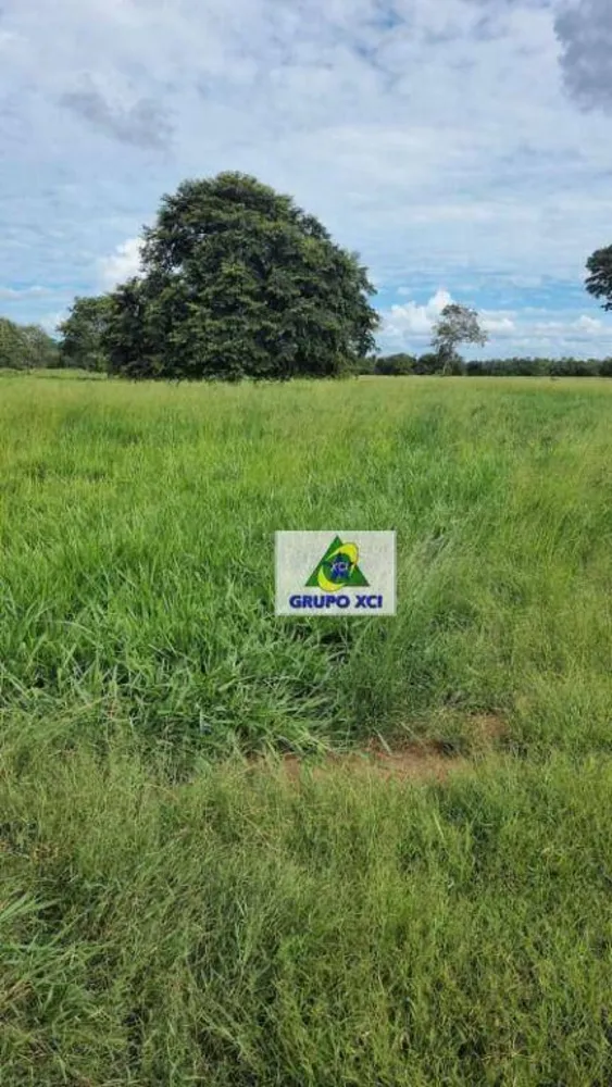 Fazenda, 177 hectares - Foto 10