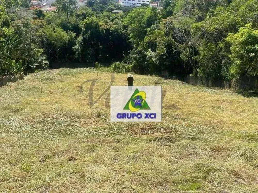 Terreno, 2390 m² - Foto 4