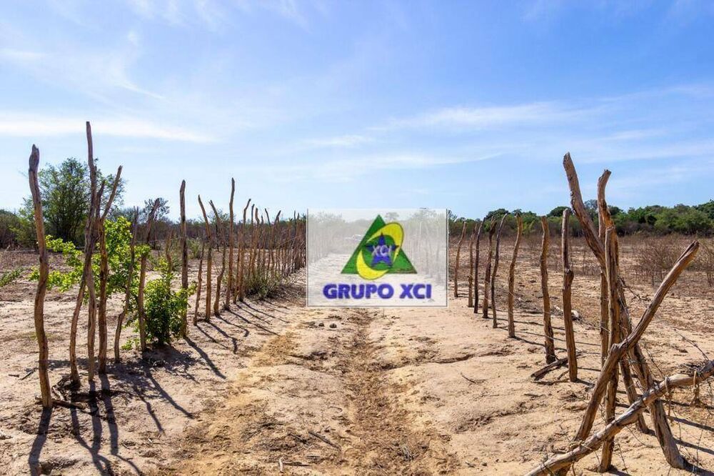 Fazenda à venda, 12000000M2 - Foto 9