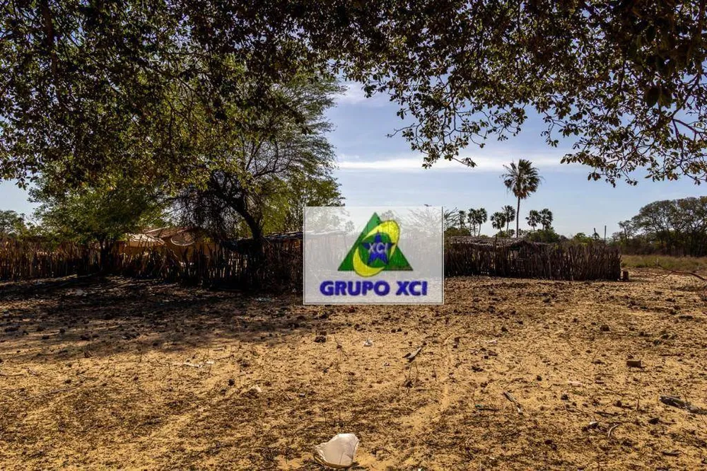 Fazenda, 1200 hectares - Foto 6