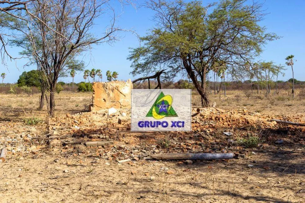 Fazenda, 1200 hectares - Foto 18