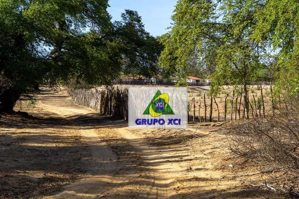 Fazenda, 1200 hectares - Foto 15