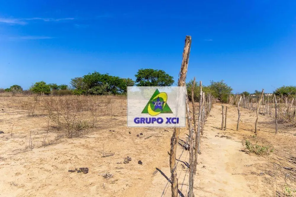 Fazenda, 1200 hectares - Foto 13