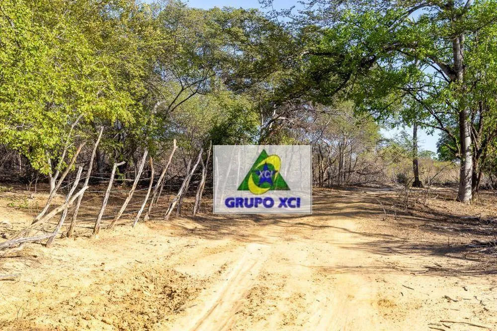 Fazenda, 1200 hectares - Foto 8
