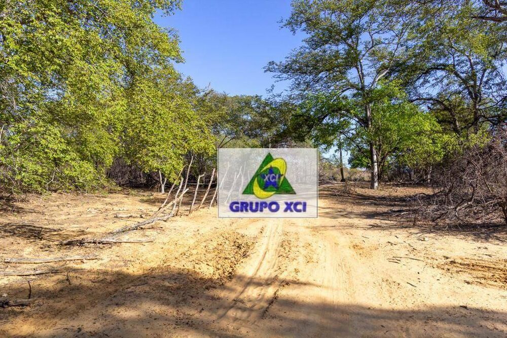 Fazenda à venda, 12000000M2 - Foto 12