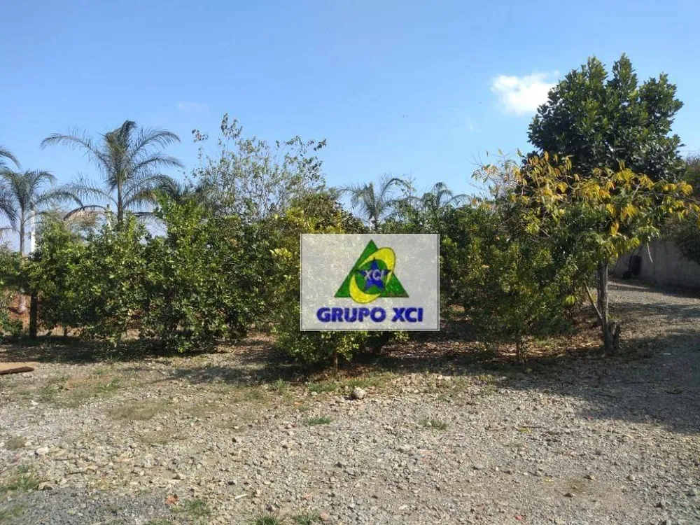 Chácara, 2 quartos, 6000 m² - Foto 6