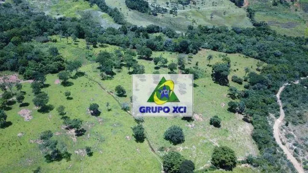 Fazenda à venda com 3 quartos, 2980000M2 - Foto 5