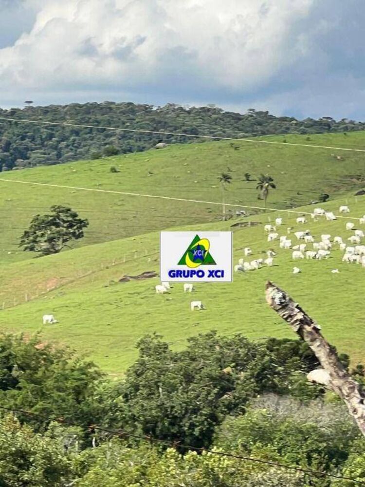 Fazenda, 242 hectares - Foto 17