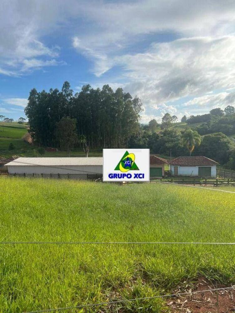 Fazenda, 242 hectares - Foto 3