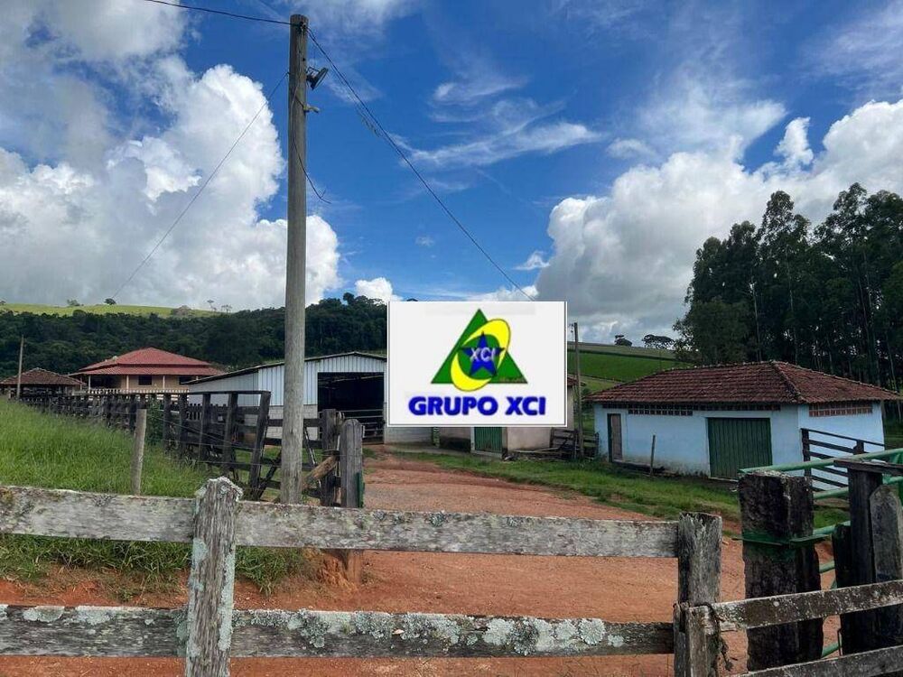 Fazenda, 242 hectares - Foto 13