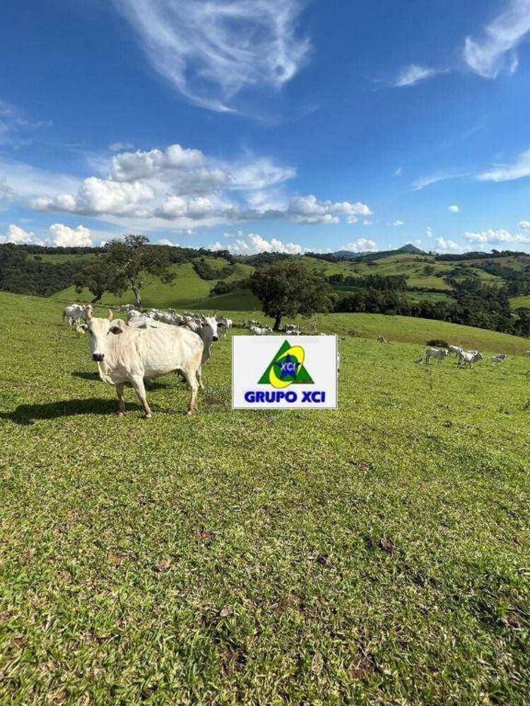 Fazenda, 242 hectares - Foto 19