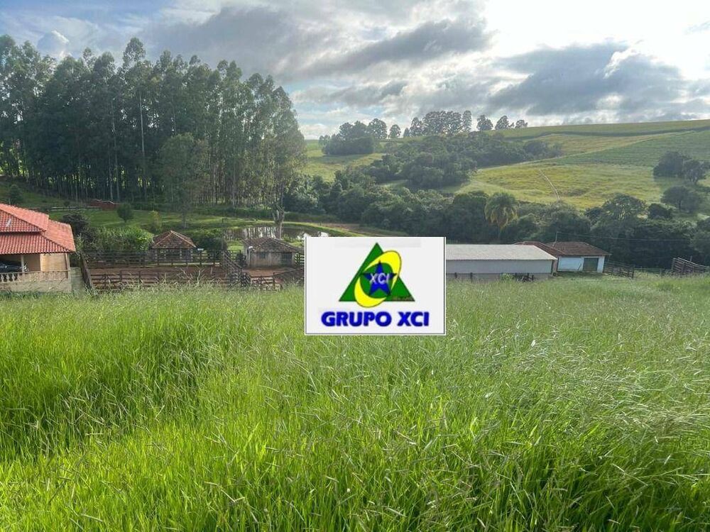 Fazenda, 242 hectares - Foto 5