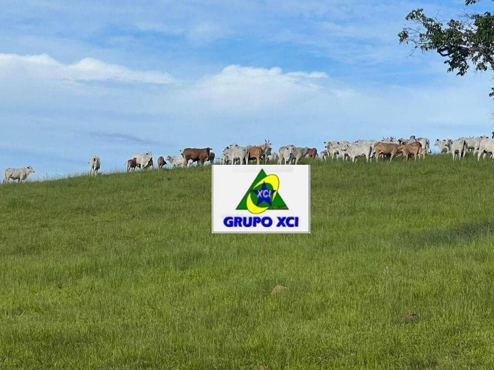 Fazenda, 242 hectares - Foto 10