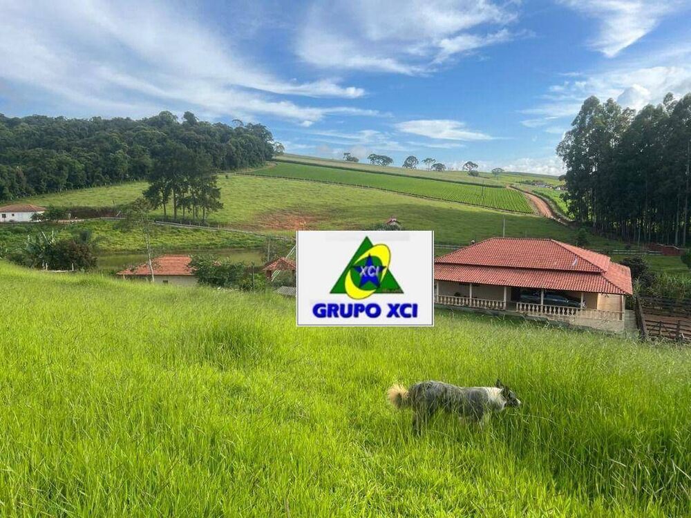 Fazenda, 242 hectares - Foto 1