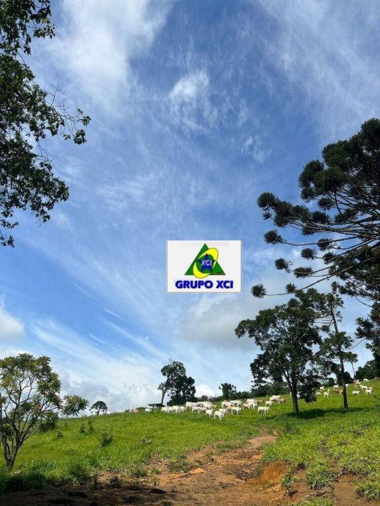 Fazenda, 242 hectares - Foto 16