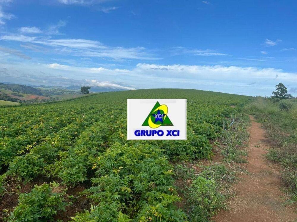 Fazenda, 242 hectares - Foto 9