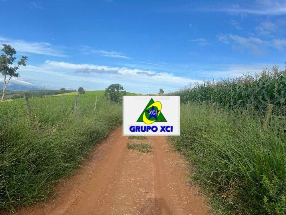 Fazenda, 242 hectares - Foto 7