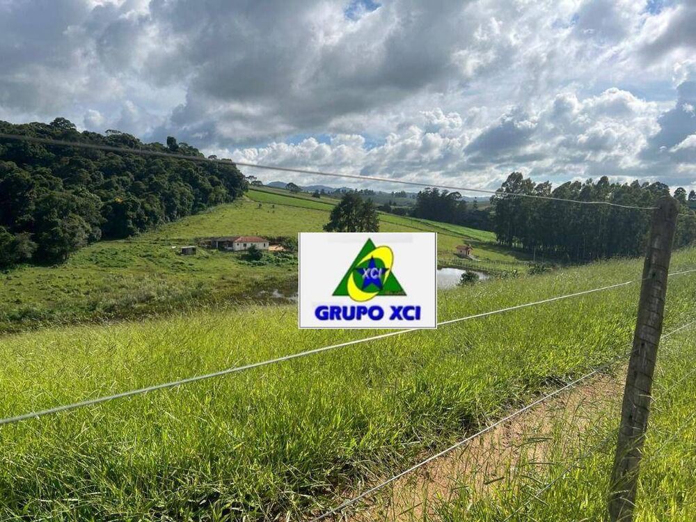 Fazenda, 242 hectares - Foto 14