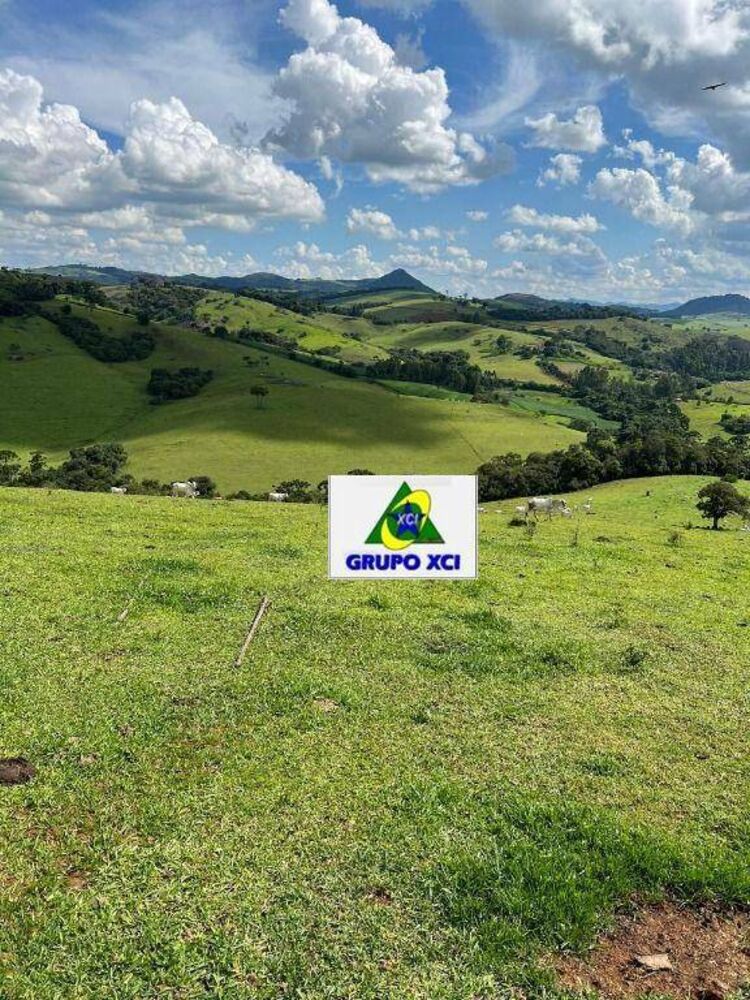 Fazenda, 242 hectares - Foto 21