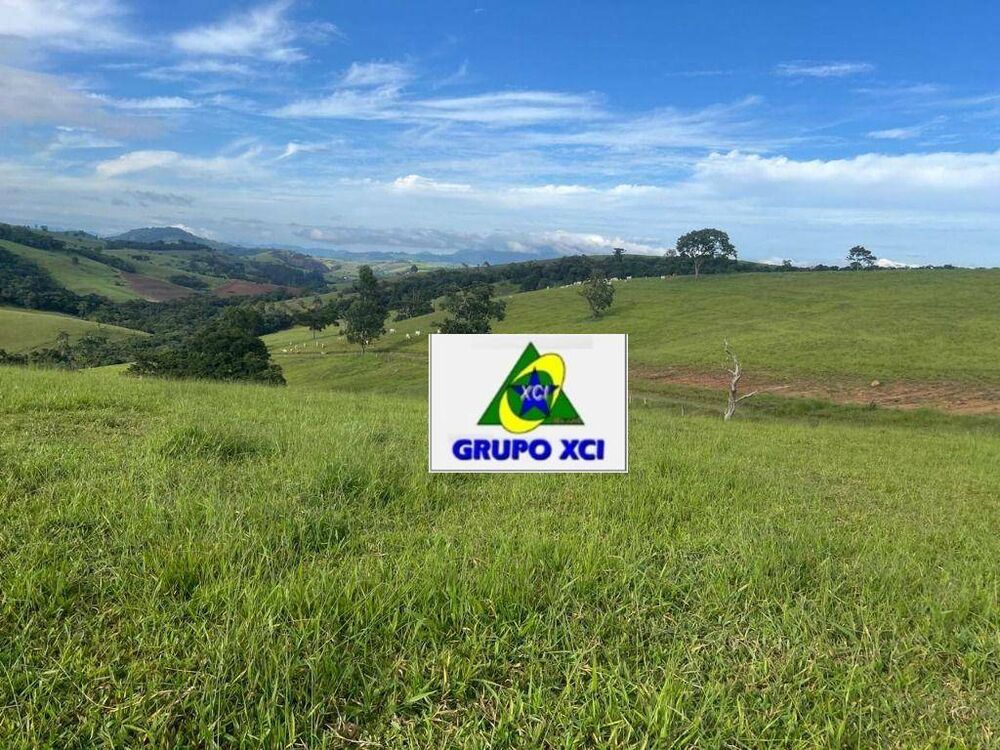 Fazenda, 242 hectares - Foto 8
