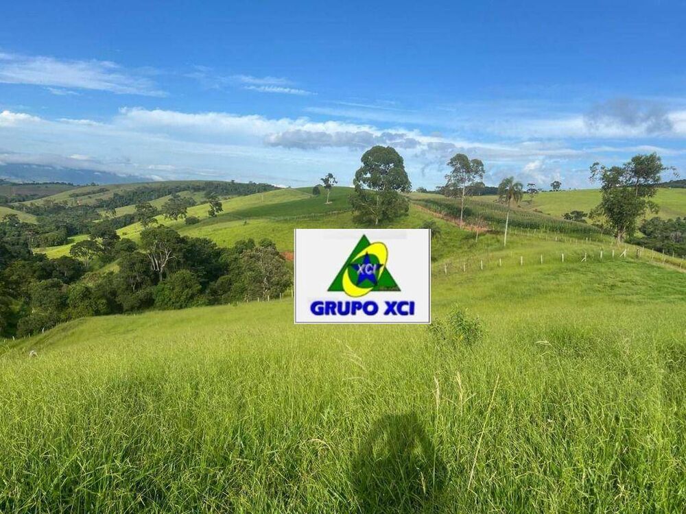 Fazenda, 242 hectares - Foto 6
