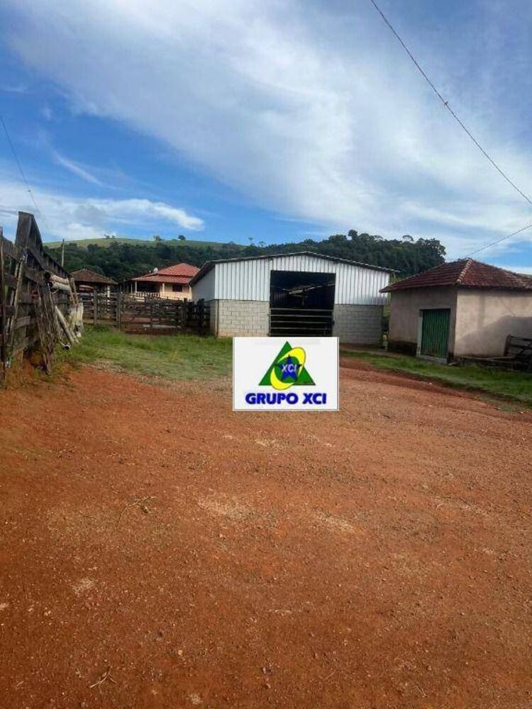 Fazenda, 242 hectares - Foto 4