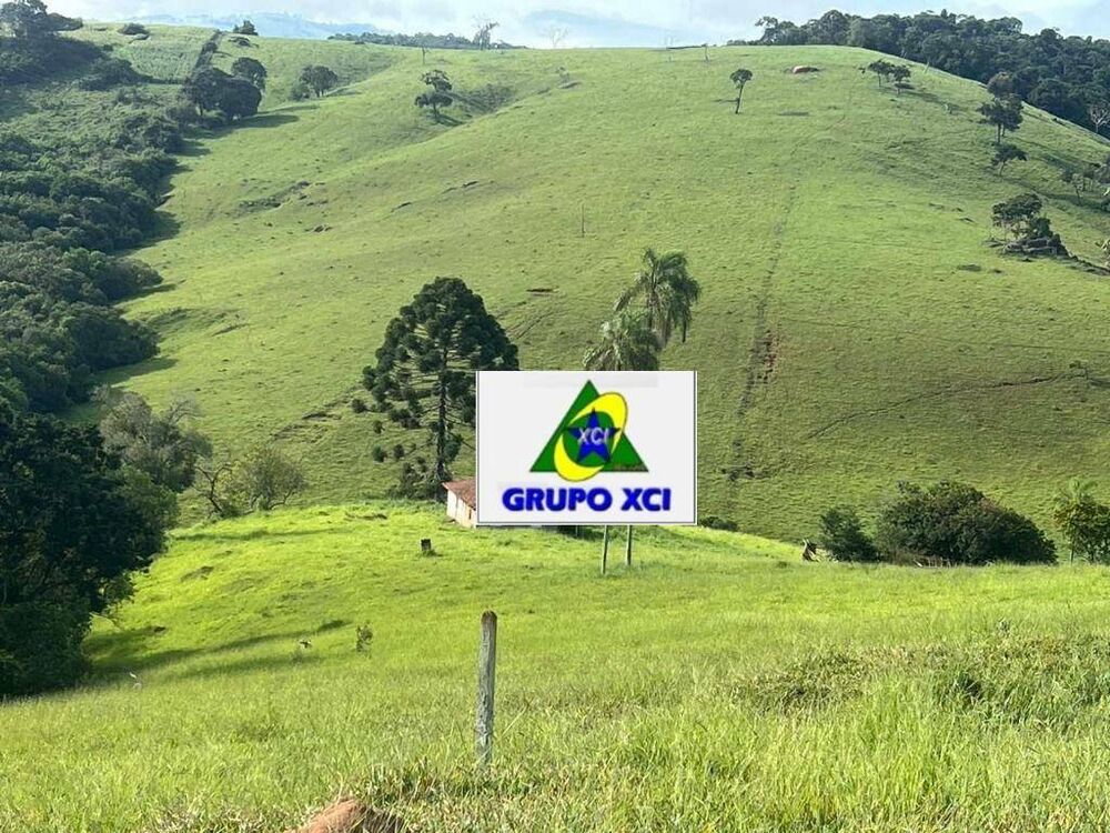 Fazenda, 242 hectares - Foto 11
