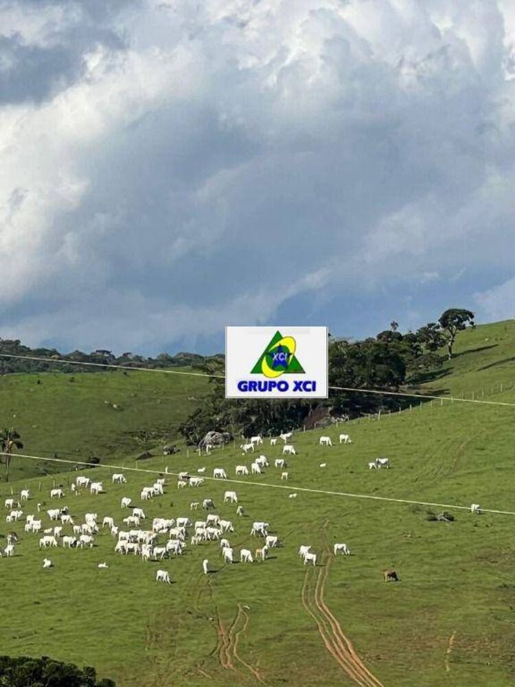 Fazenda, 242 hectares - Foto 18