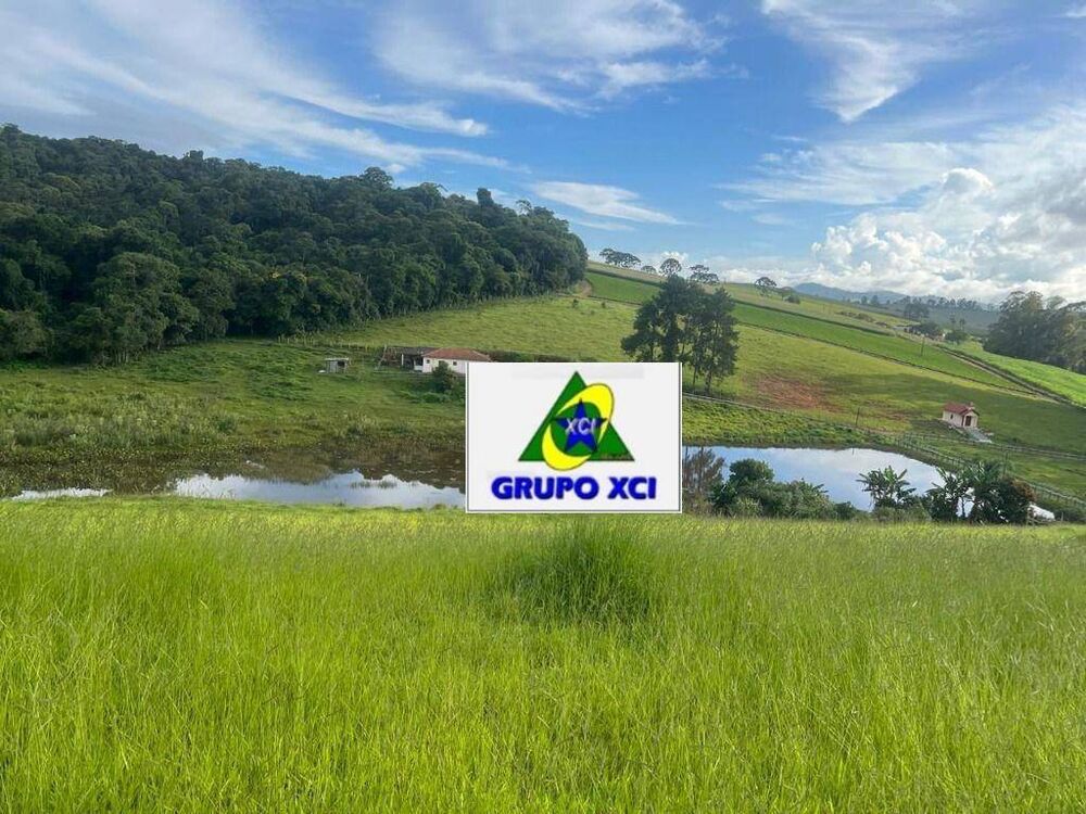 Fazenda, 242 hectares - Foto 2