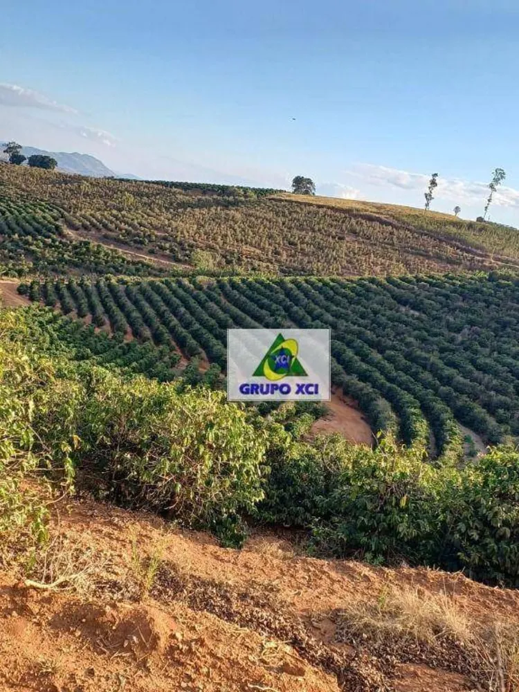 Fazenda, 53 hectares - Foto 12