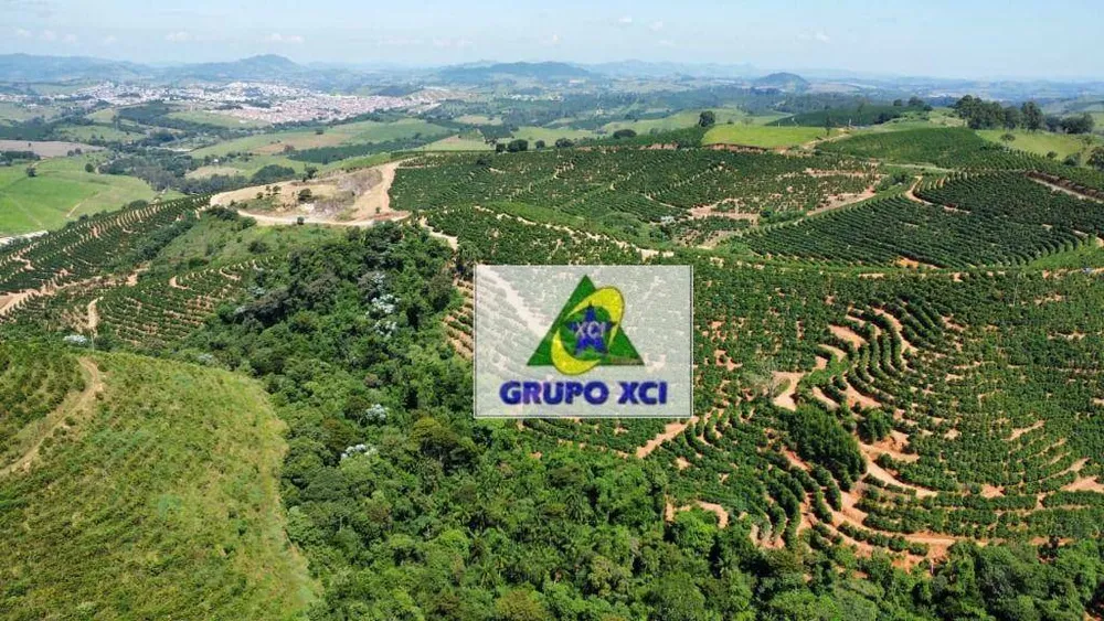 Fazenda, 53 hectares - Foto 2