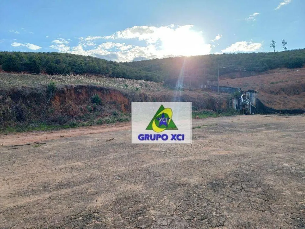 Fazenda, 53 hectares - Foto 4