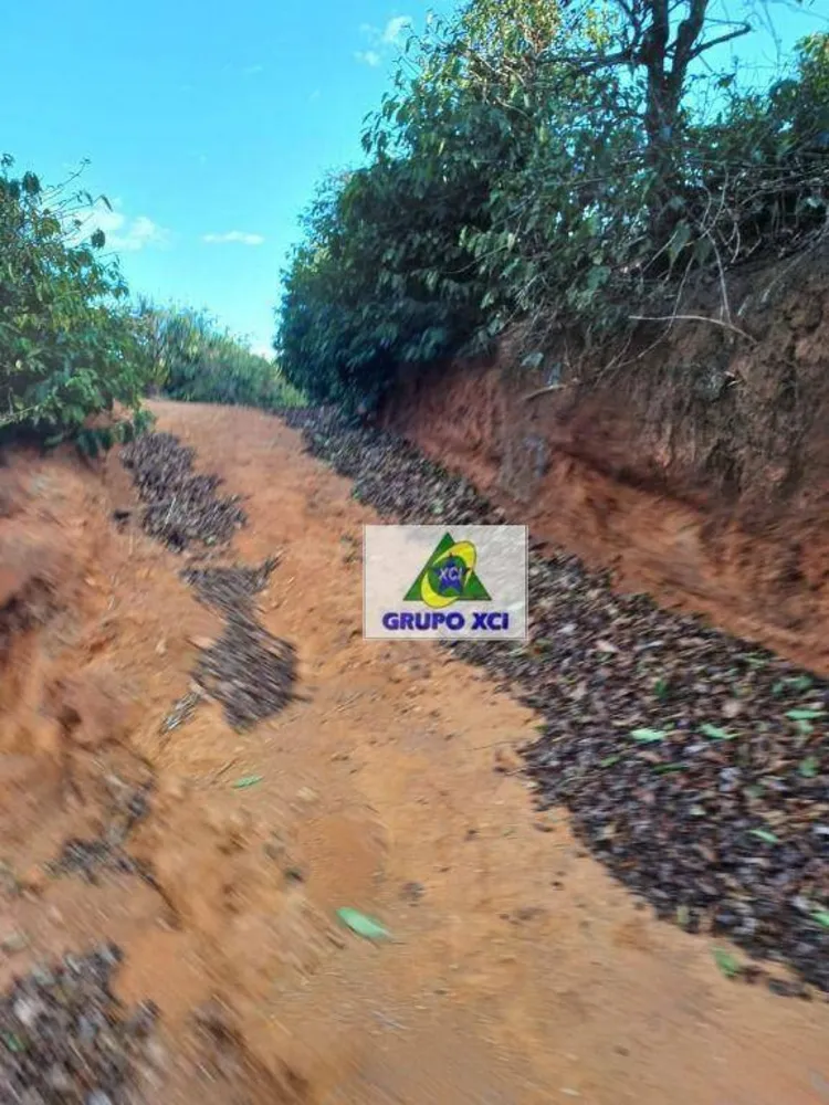 Fazenda, 53 hectares - Foto 9