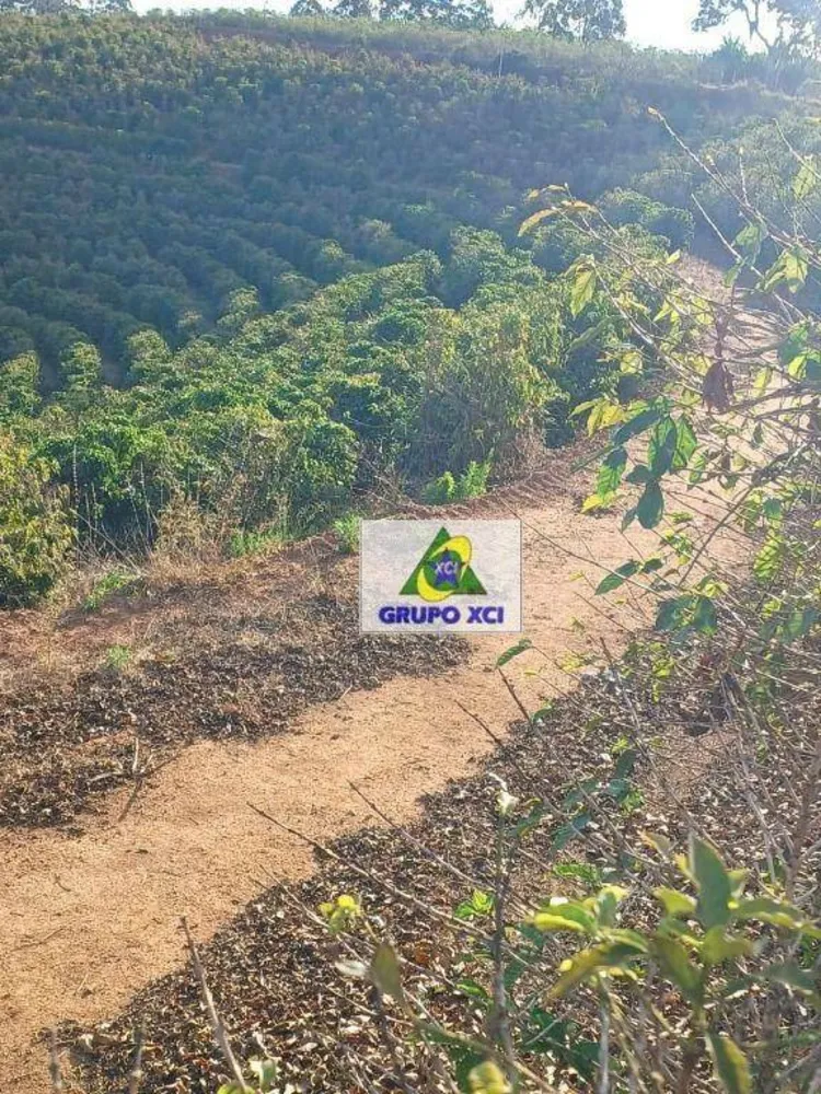 Fazenda, 53 hectares - Foto 11