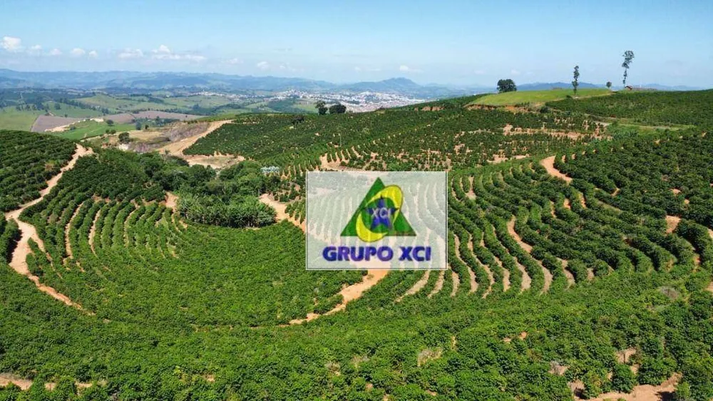 Fazenda, 53 hectares - Foto 1