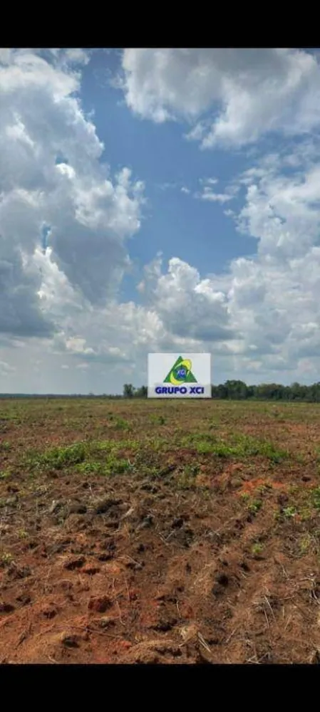 Fazenda, 6000000 hectares - Foto 3