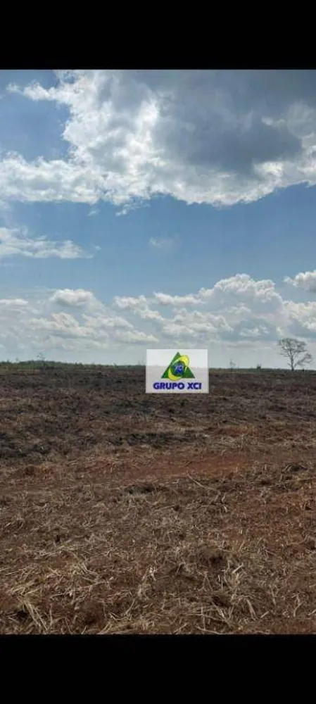 Fazenda, 6000000 hectares - Foto 4