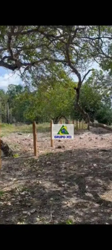 Fazenda, 6000000 hectares - Foto 8