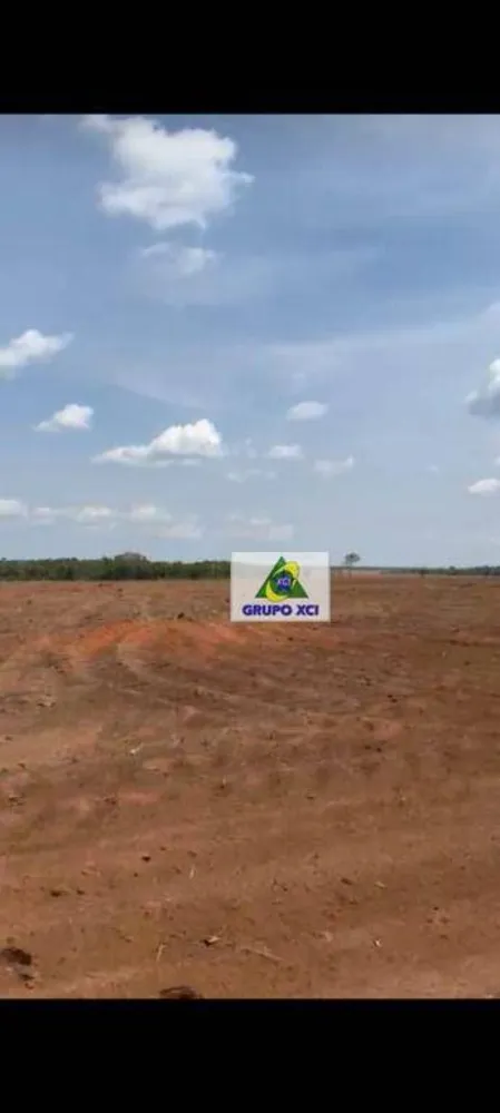 Fazenda, 6000000 hectares - Foto 7