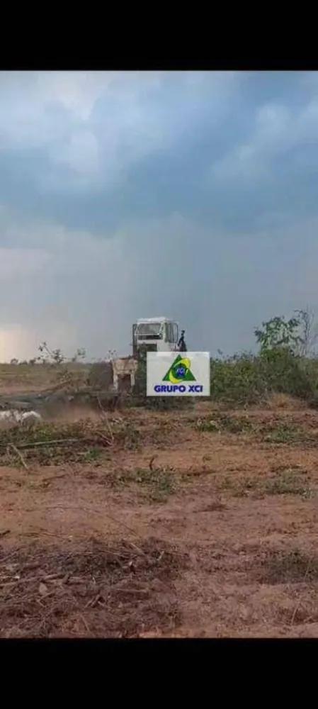 Fazenda, 6000000 hectares - Foto 11