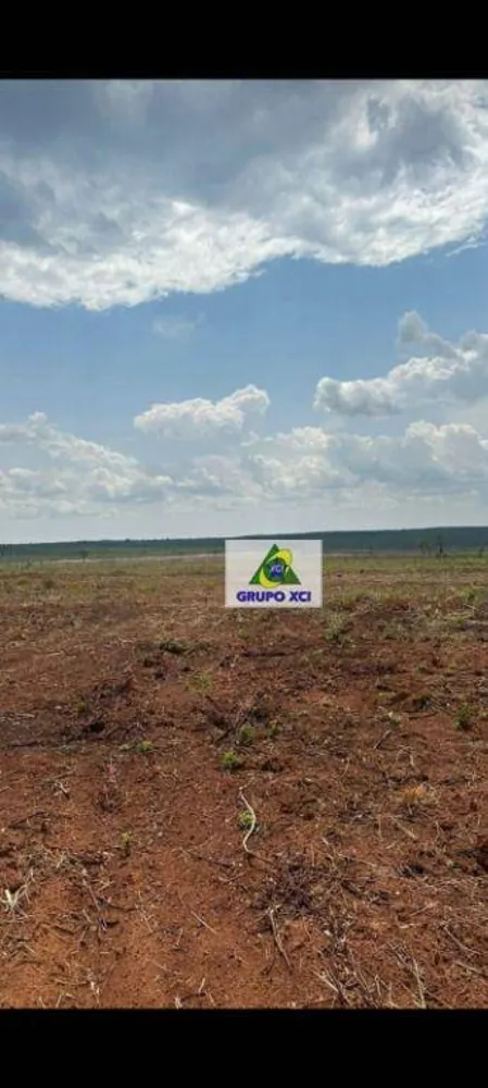 Fazenda, 6000000 hectares - Foto 5