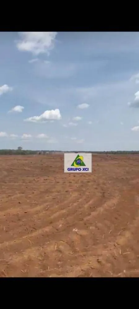 Fazenda, 6000000 hectares - Foto 9