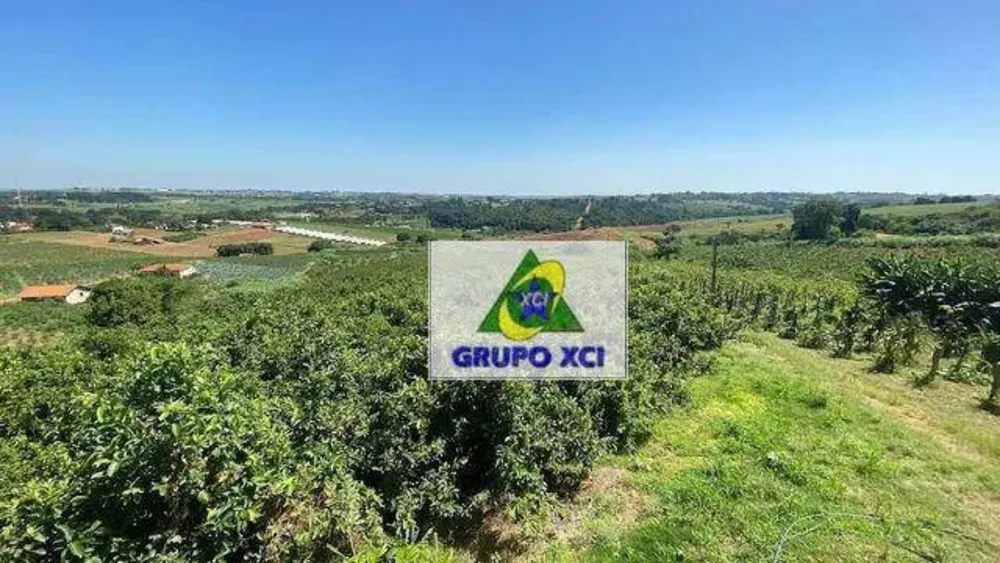 Chácara, 5 hectares - Foto 2