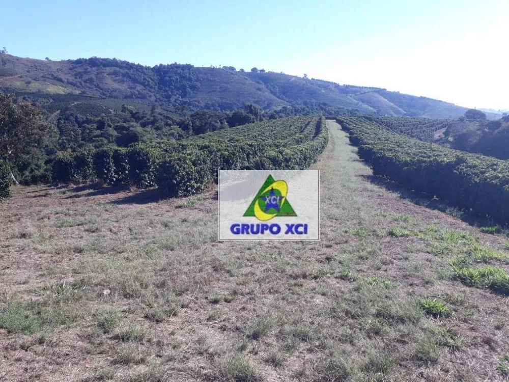 Fazenda-Sítio-Chácara, 252 hectares - Foto 2