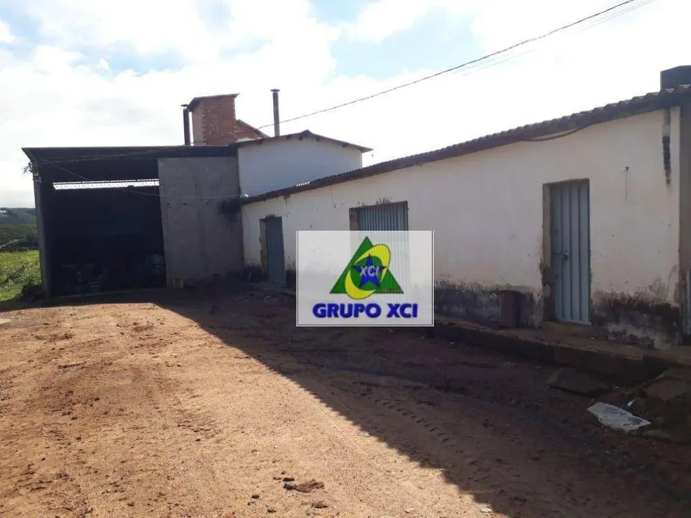 Fazenda, 252 hectares - Foto 6