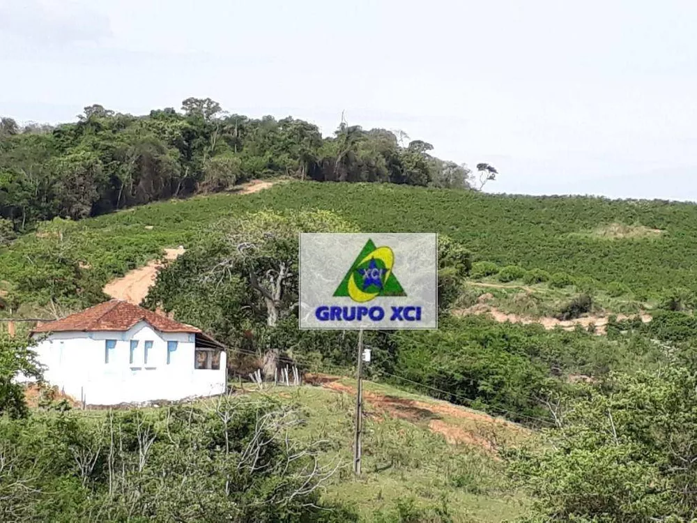 Fazenda-Sítio-Chácara, 252 hectares - Foto 4