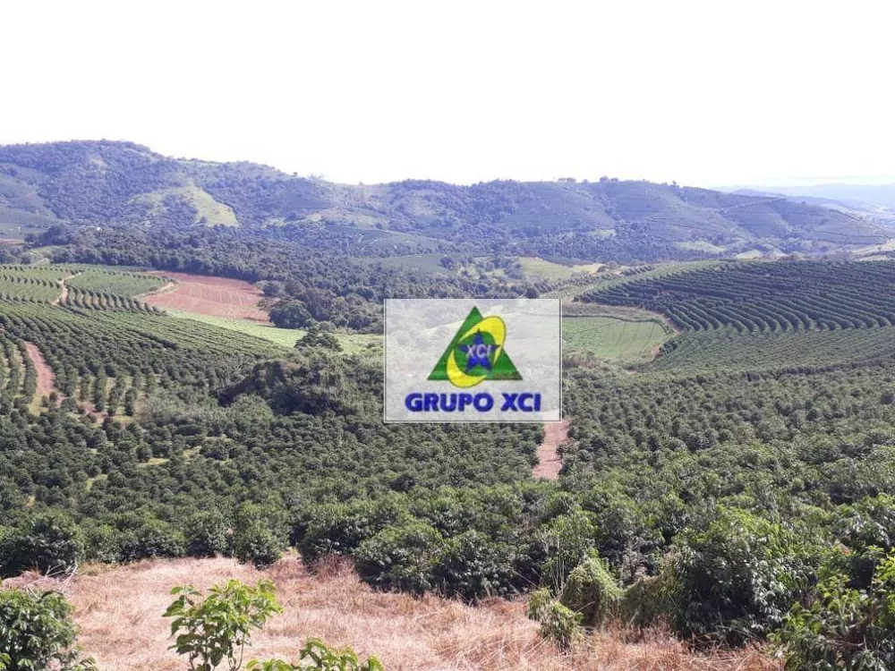 Fazenda-Sítio-Chácara, 252 hectares - Foto 3